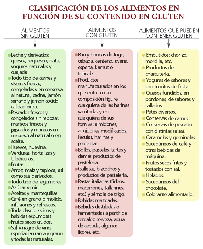 Clasificación de los alimentos 