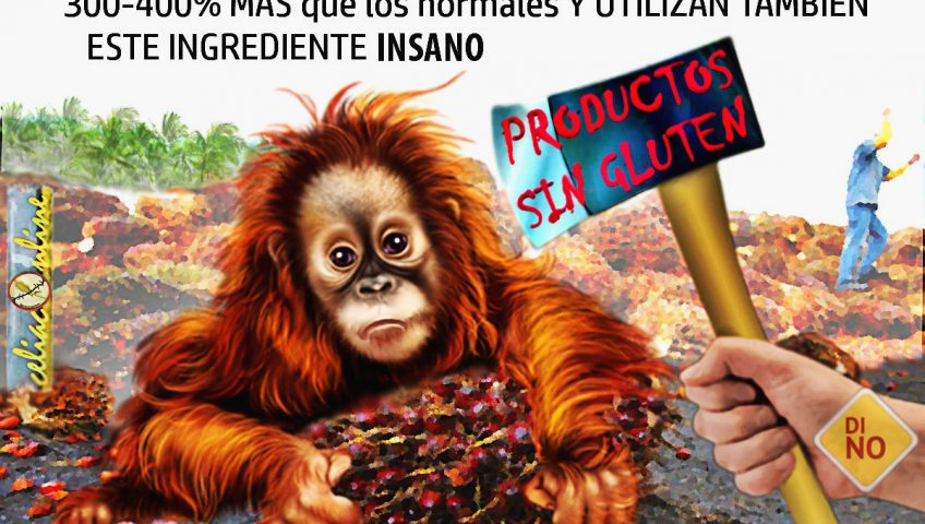 productos sin gluten no al aceite de palma